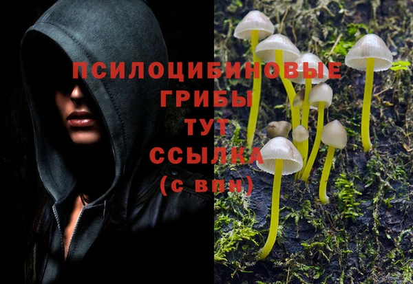 ALPHA-PVP Арсеньев