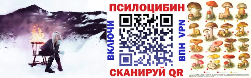 Псилоцибиновые грибы Cubensis  Павловская 
