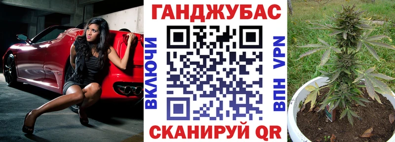 как найти закладки  Павловская  Конопля семена 